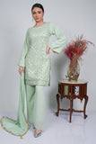 PISTA GEORGETTE DRESS PAKISTANI DESIGNER SALWAR SUIT