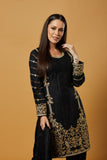 INDIAN DESIGNER PARTY WEAR SALWAR KAMEEZ - Asian Party Wear