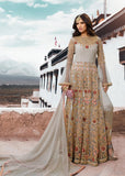 Paloma Grey Long Party Dress - Asian Party Wear