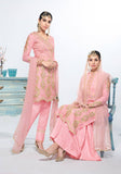 PINK PAKISTANI WEDDING MEHNDI OCCASIONAL SALWAR SUIT - Asian Party Wear