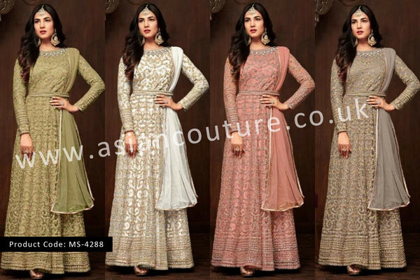 Indian Pakistani  Anarkali Ethnic Anarkali Gown - Asian Party Wear