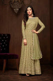 Indian Pakistani  Anarkali Ethnic Anarkali Gown - Asian Party Wear